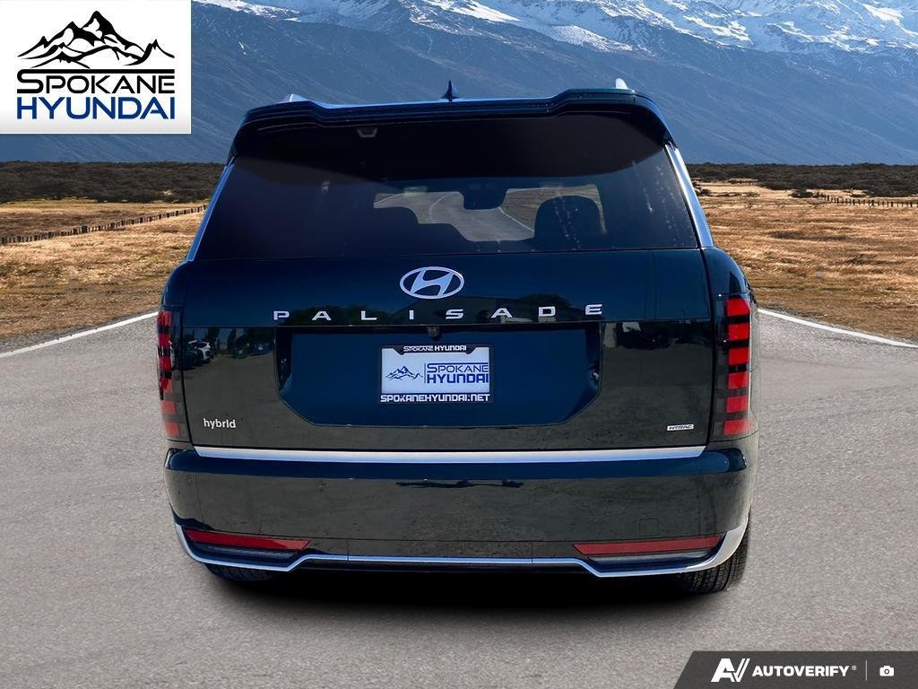New 2026 ROBUST EMERALD HYUNDAI CALLIGRAPHY image 4