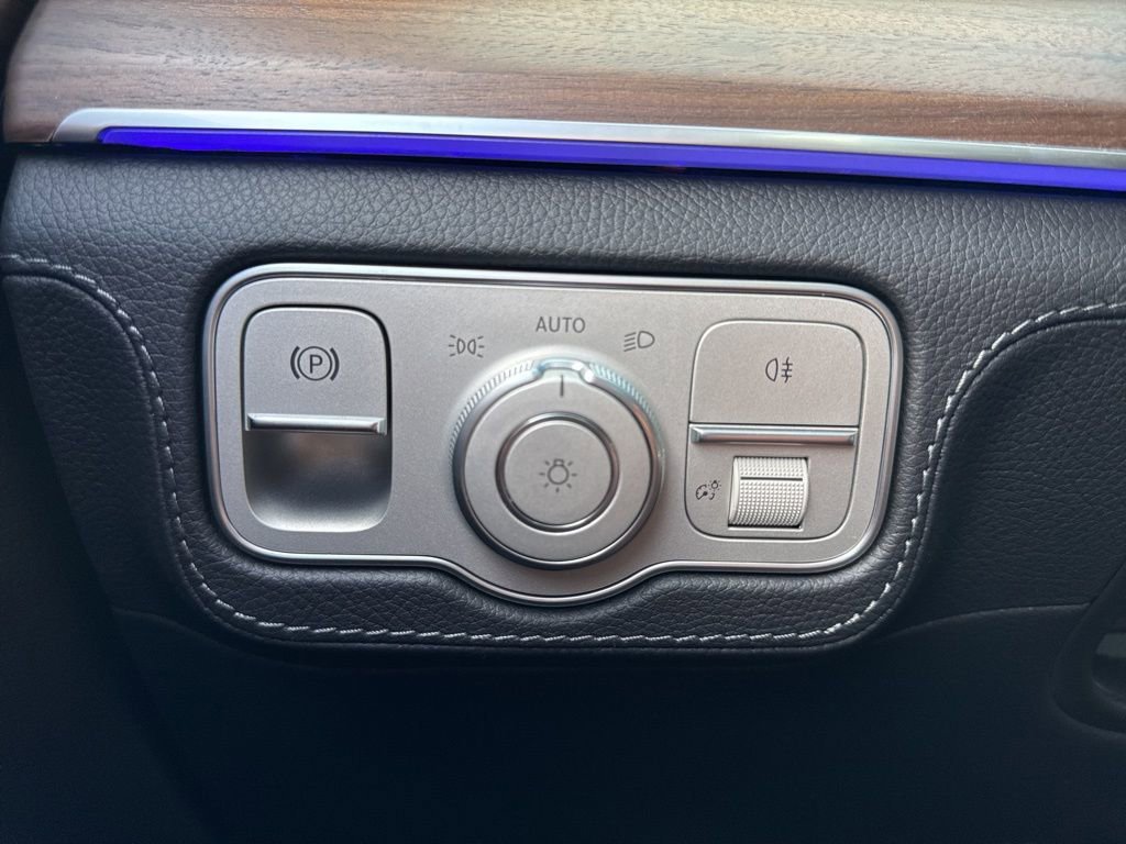 2026 Mercedes-Benz GLS Base - Photo 133