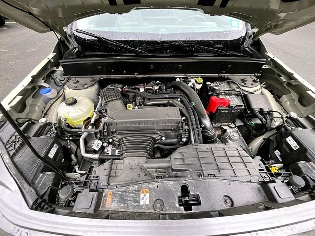 New 2025 Beige Ford Badlands image 12