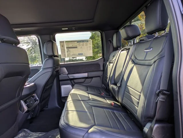 New 2026 Black Ford Platinum image 14