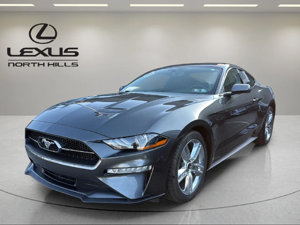 2019 Ford Mustang