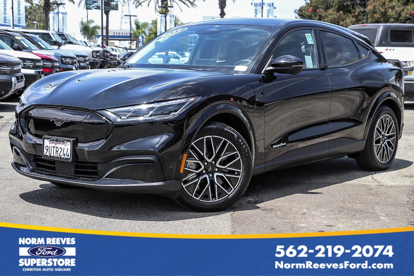 Certified Used 2025 Shadow Black Ford Premium image 1