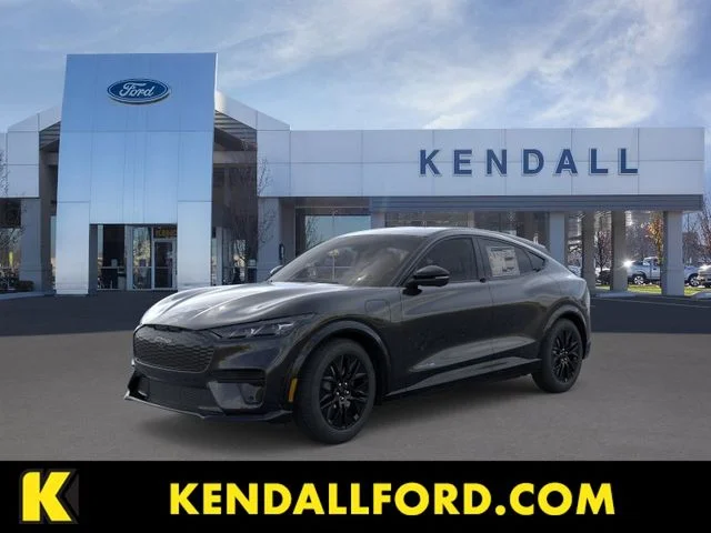 New 2026 Shadow Black Ford Premium image 1