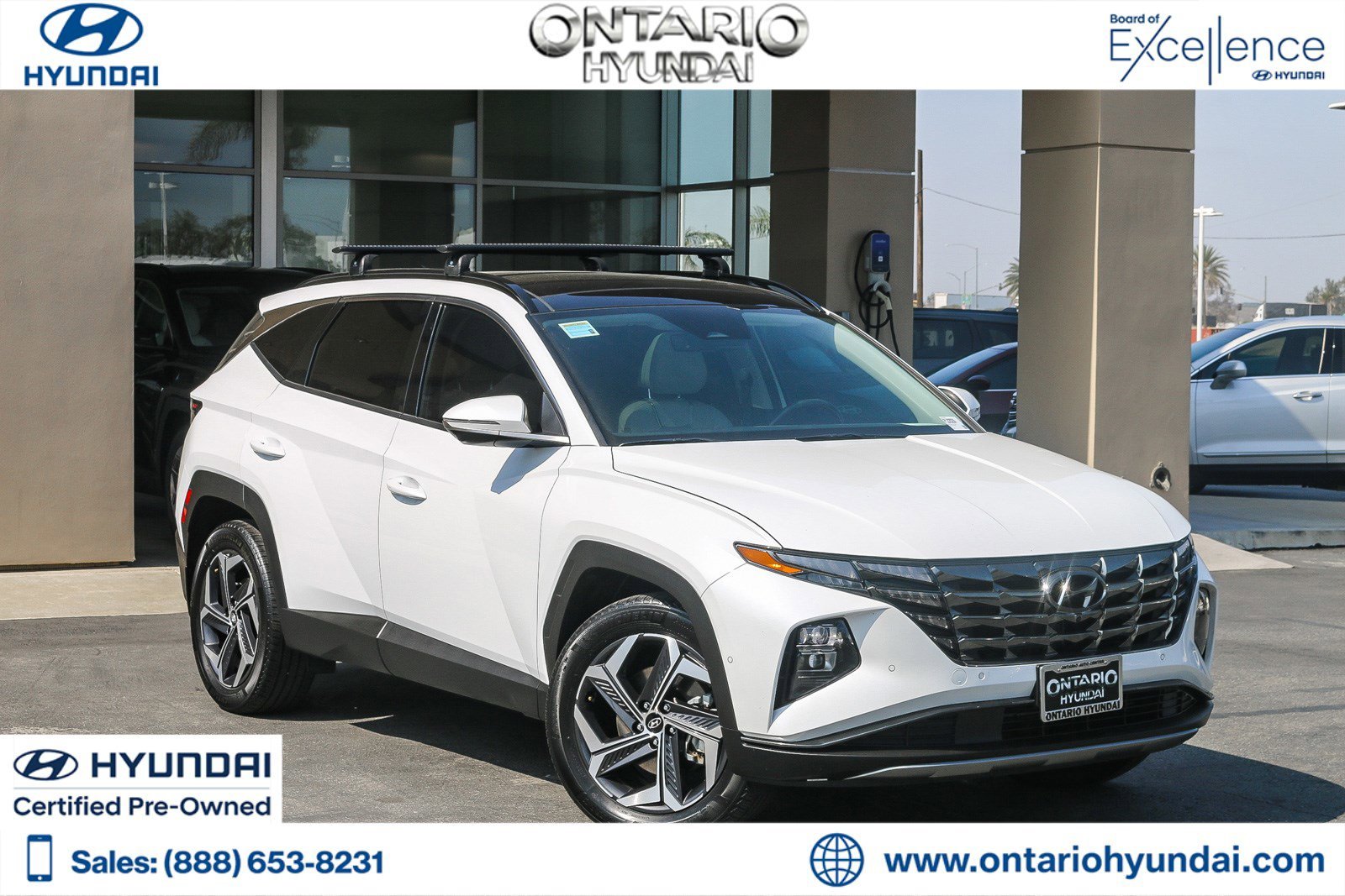 2024 Hyundai Tucson Limited HEV AWD's photo