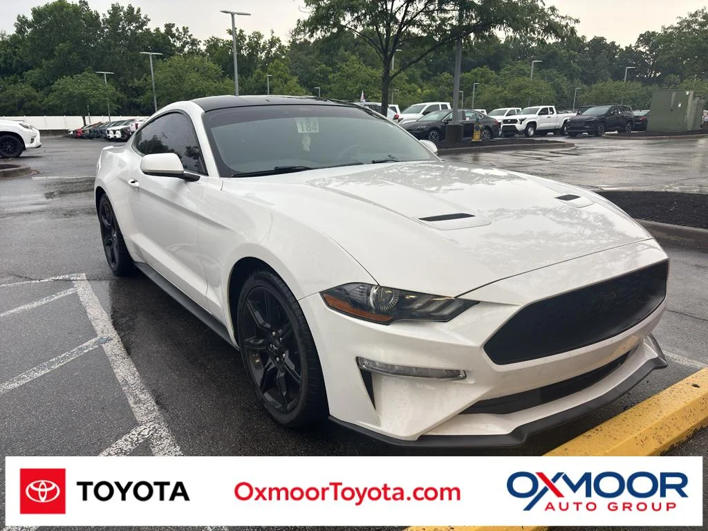 Used 2019 Oxford White Ford EcoBoost image 1