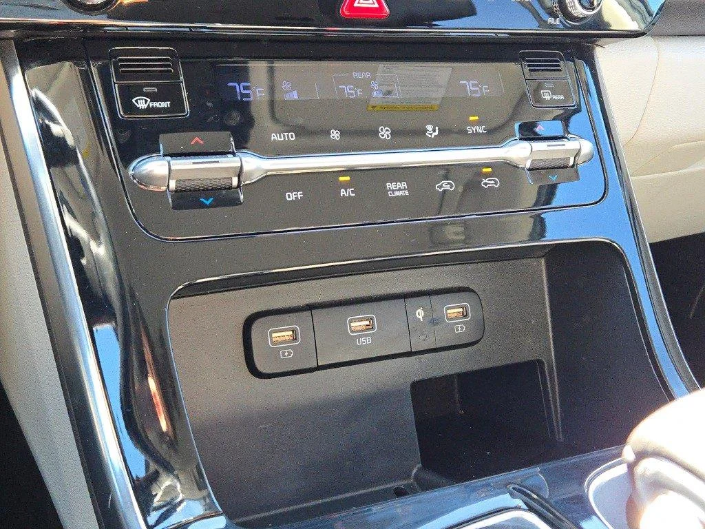 Used 2022 Panthera Metal Kia EX image 25