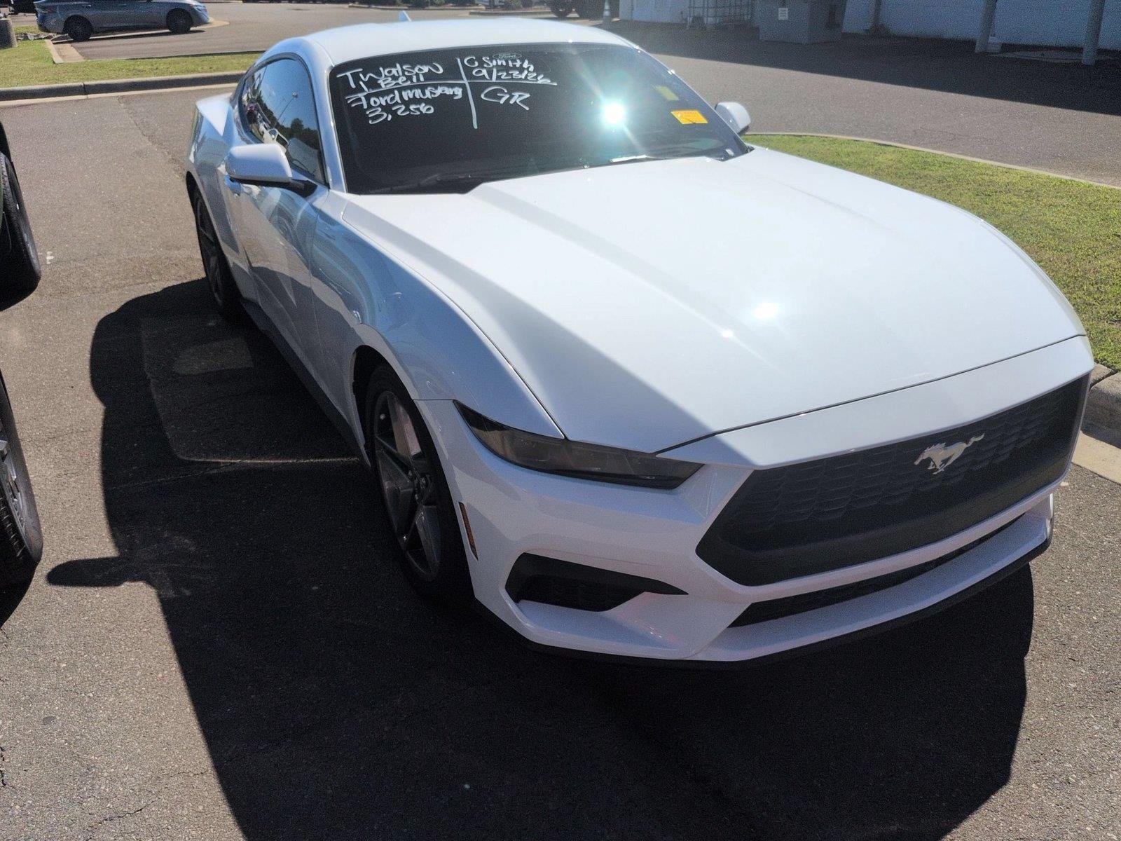 Used 2025 Oxford White Ford EcoBoost image 2