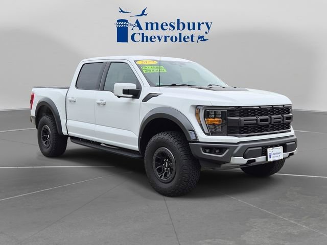 2022 Ford F-150 Raptor 4x4 SuperCrew 145 in's photo