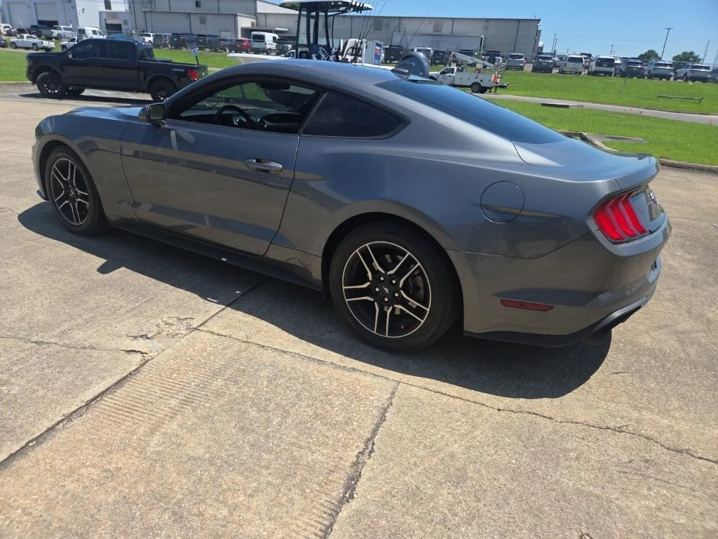 Used 2023 Gray Ford EcoBoost image 6