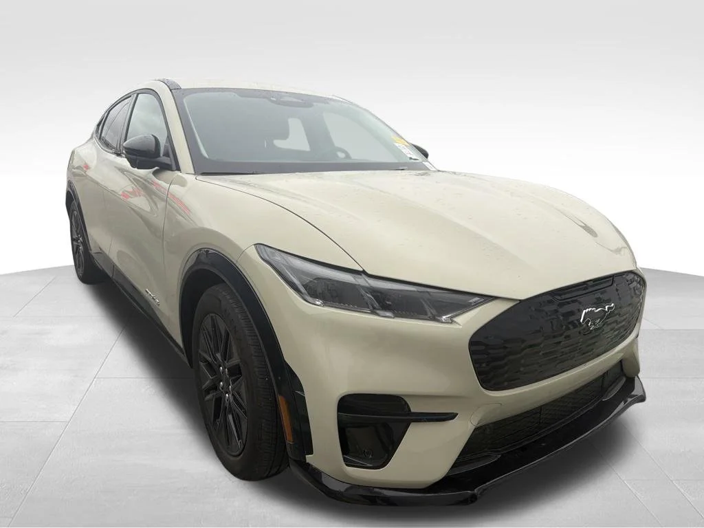 Used 2025 Desert Sand Ford Premium image 14