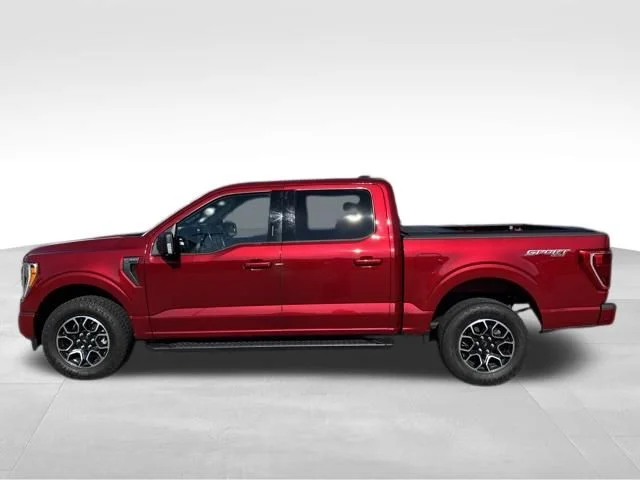 Used 2021 Red Ford XLT image 10