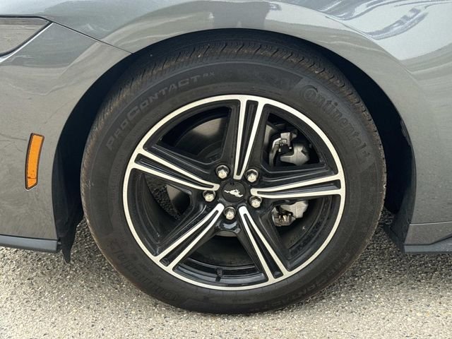 Used 2024 Gray Ford EcoBoost image 6