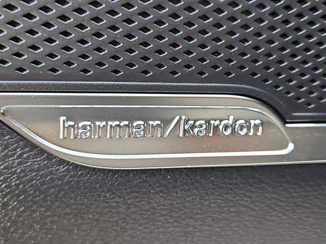 2025 Kia Sportage X-Pro - Photo 29