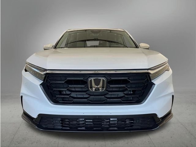 New 2026 Platinum White Pearl Honda LX image 9