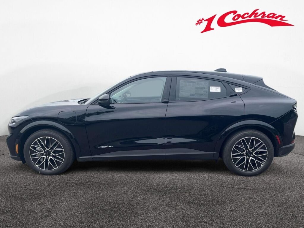 New 2026 Shadow Black Ford Premium image 10