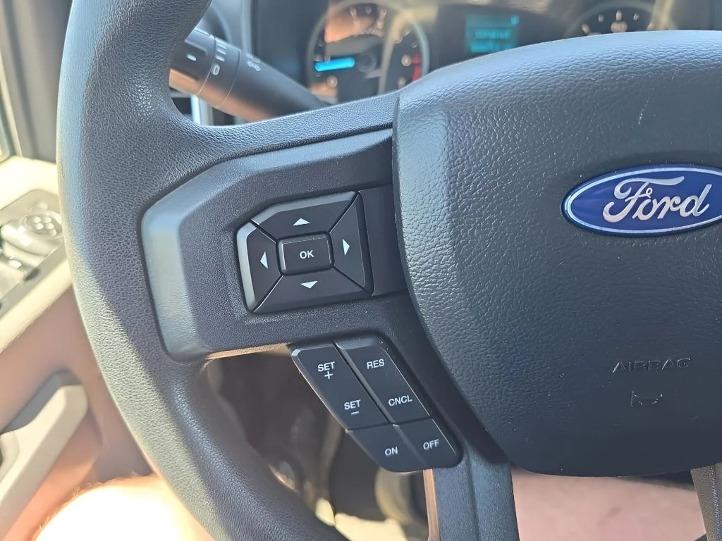 Used 2019 Silver Ford  image 16