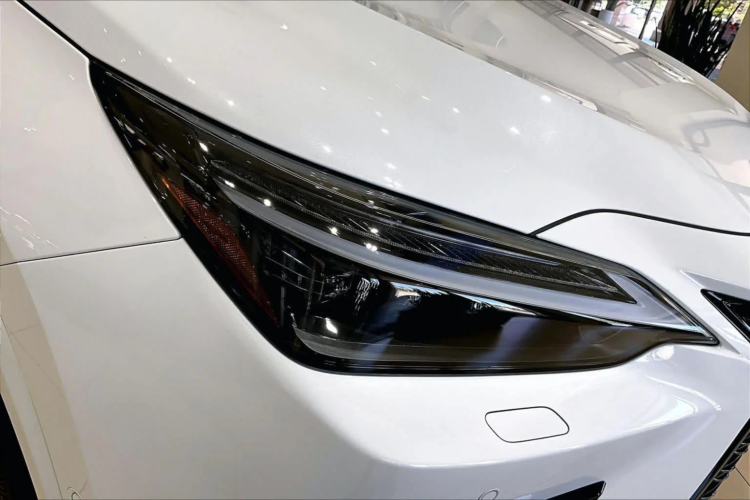 2026 Lexus NX 450h+ F-Sport - Photo 21