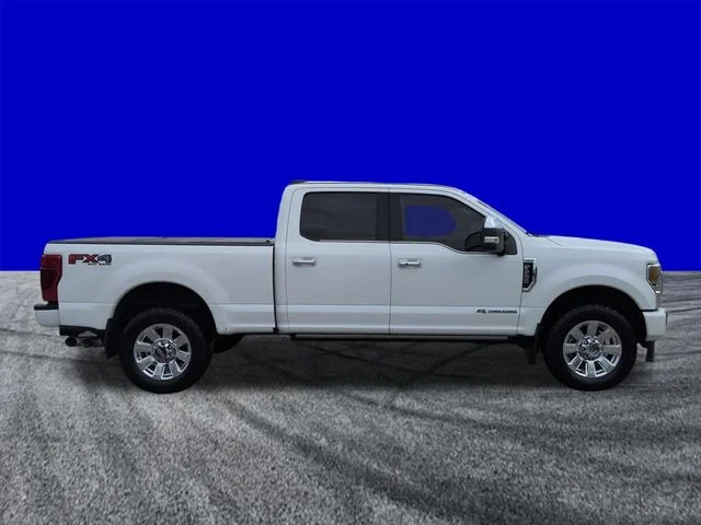 Used 2021 Super Black Ford Platinum image 3