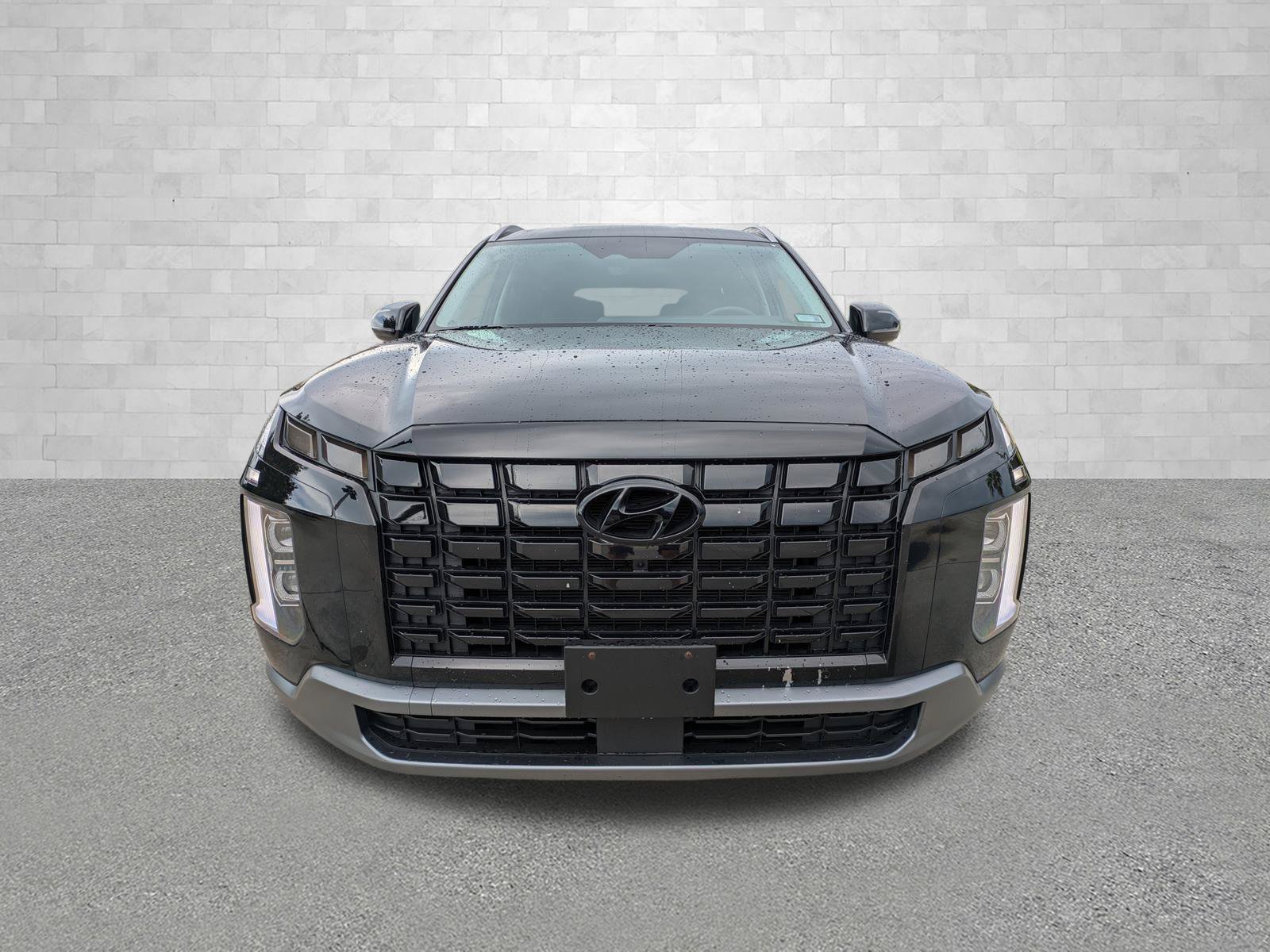 2025 Hyundai Palisade SEL Premium - Photo 6