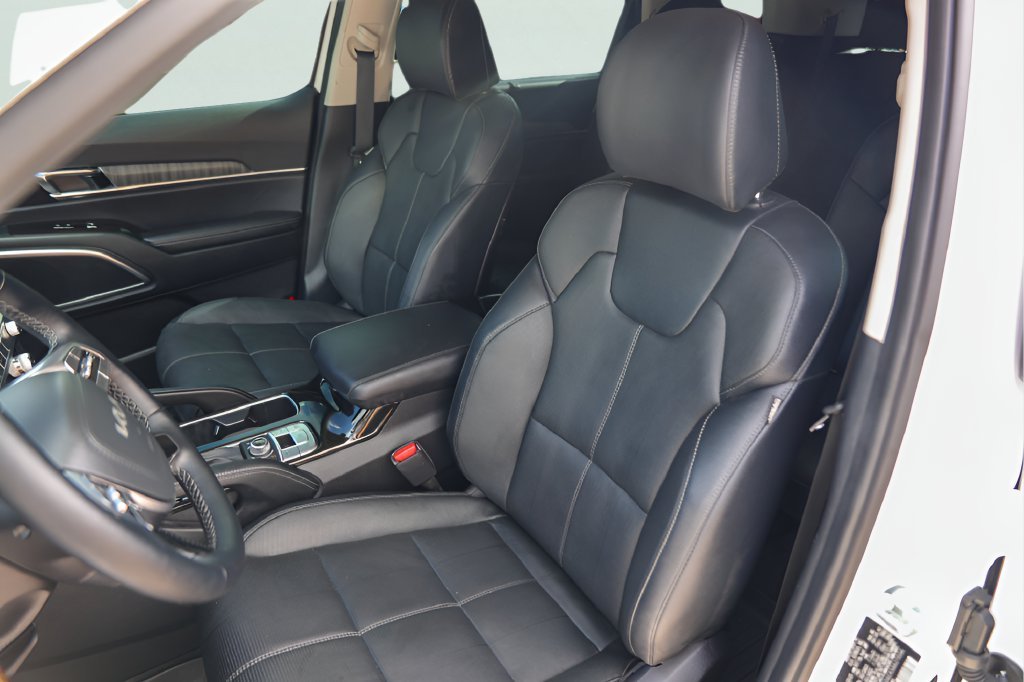 2025 Kia Telluride SX - Photo 9