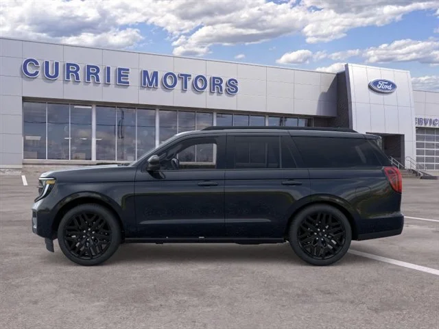 New 2026 Agate Black Metallic Ford Platinum image 3