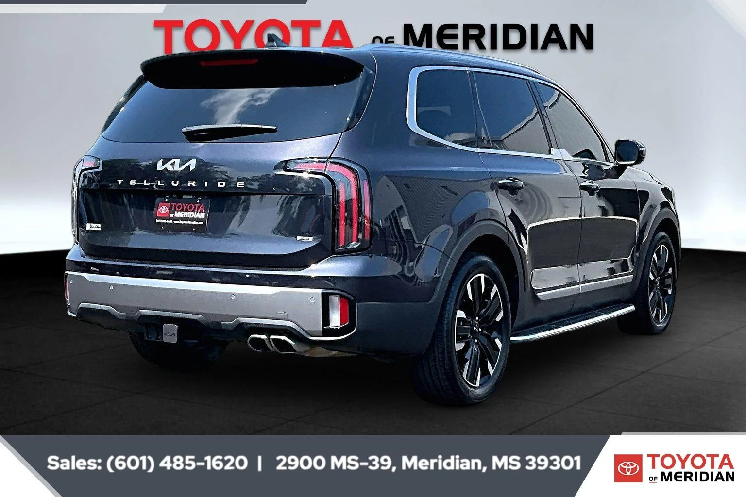 Used 2025 Panthera Metal Kia SX image 11