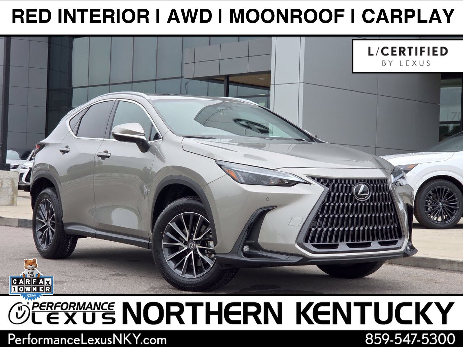2025 Lexus NX