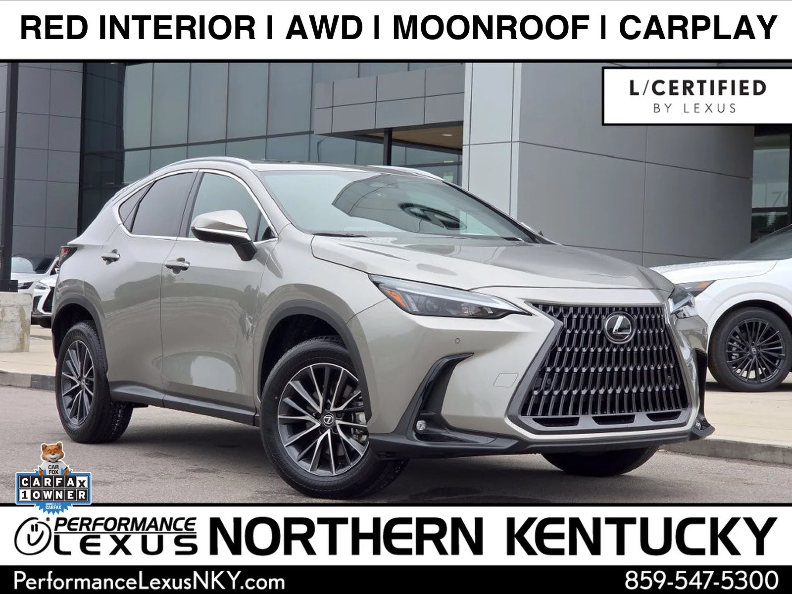 2025 Lexus NX