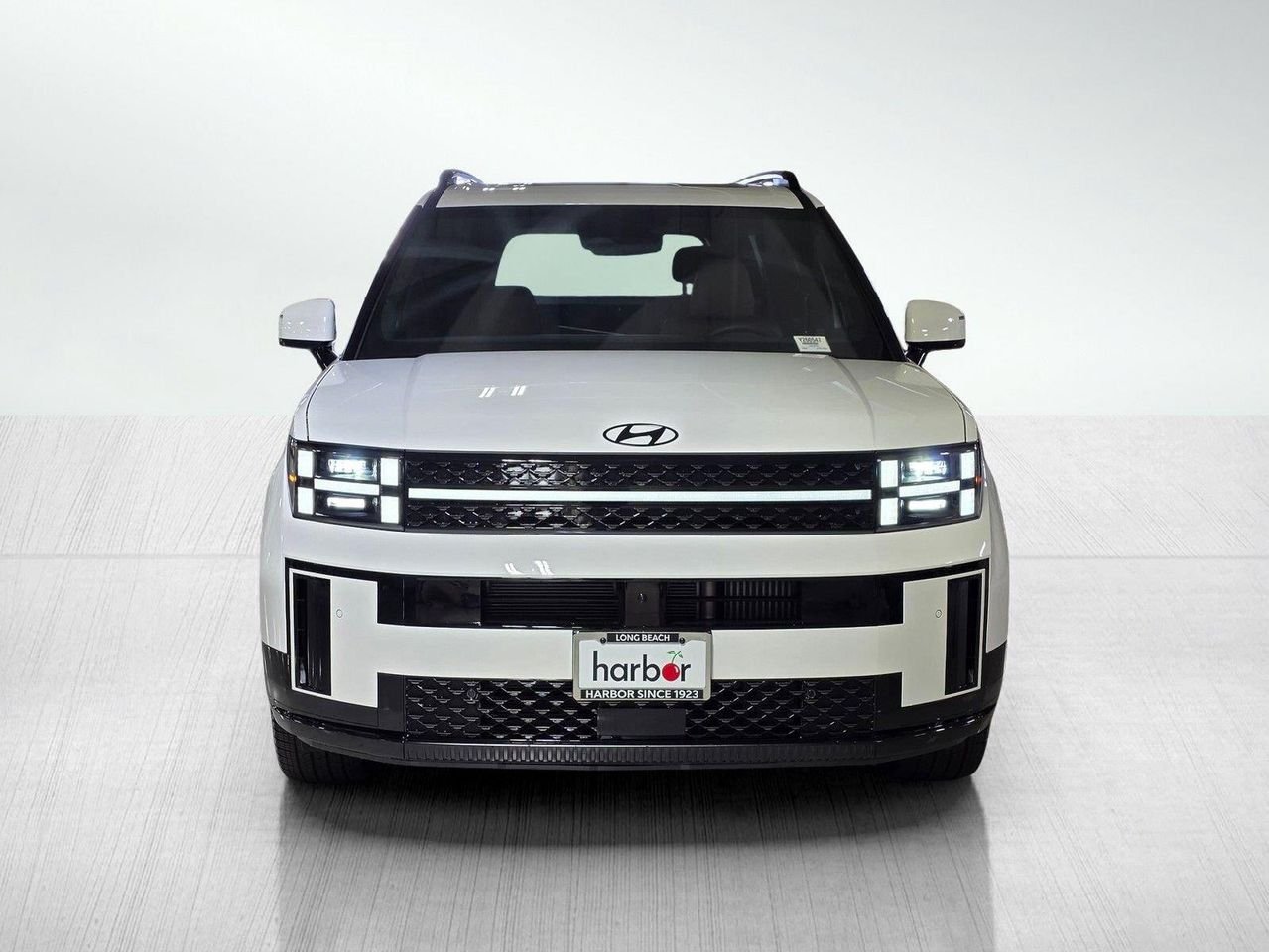 New 2026 Serenity White Hyundai Calligraphy image 2