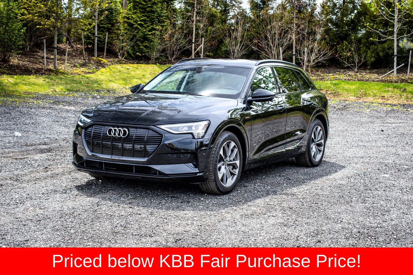 2021 Audi e-tron 95 kWh Premium Plus quattro's photo