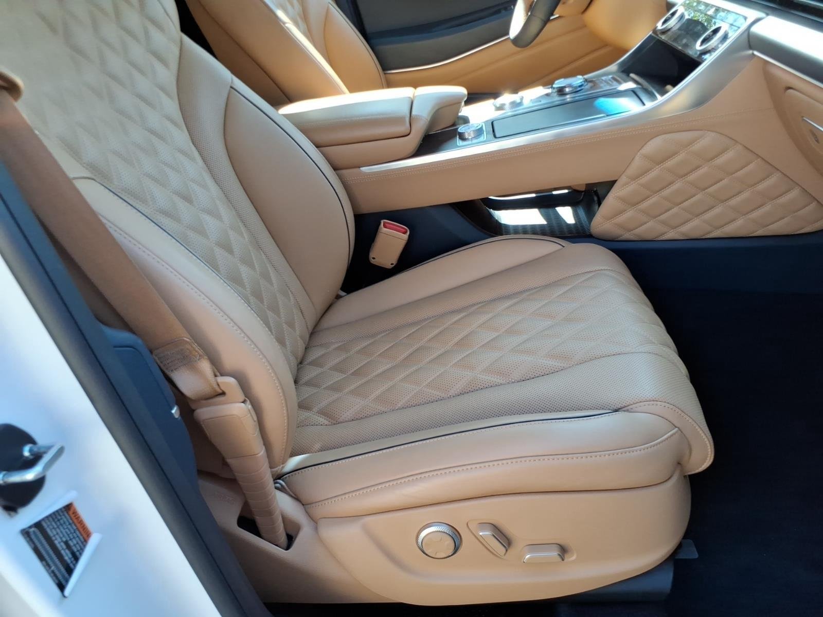 Used 2023 Matterhorn White Genesis PRESTIGE image 24