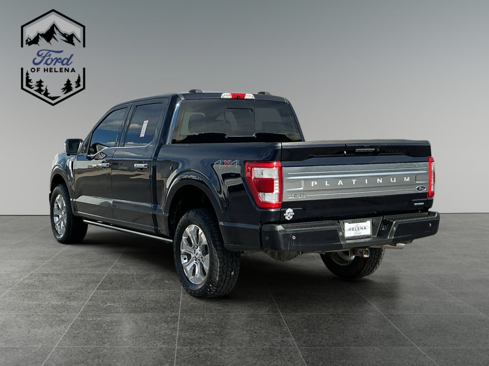 Used 2022 Blue Ford Platinum image 3