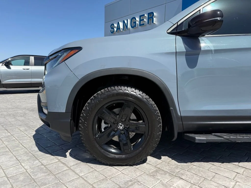 Used 2023 Gray Honda Black Edition image 6