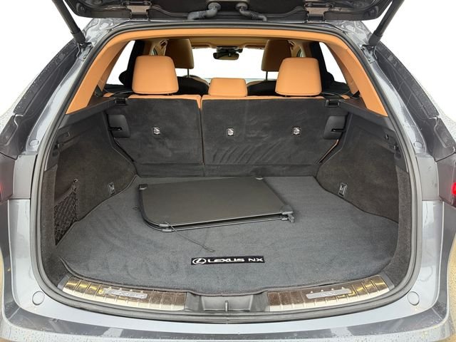 Used 2024 Gray Lexus 250 Premium image 18