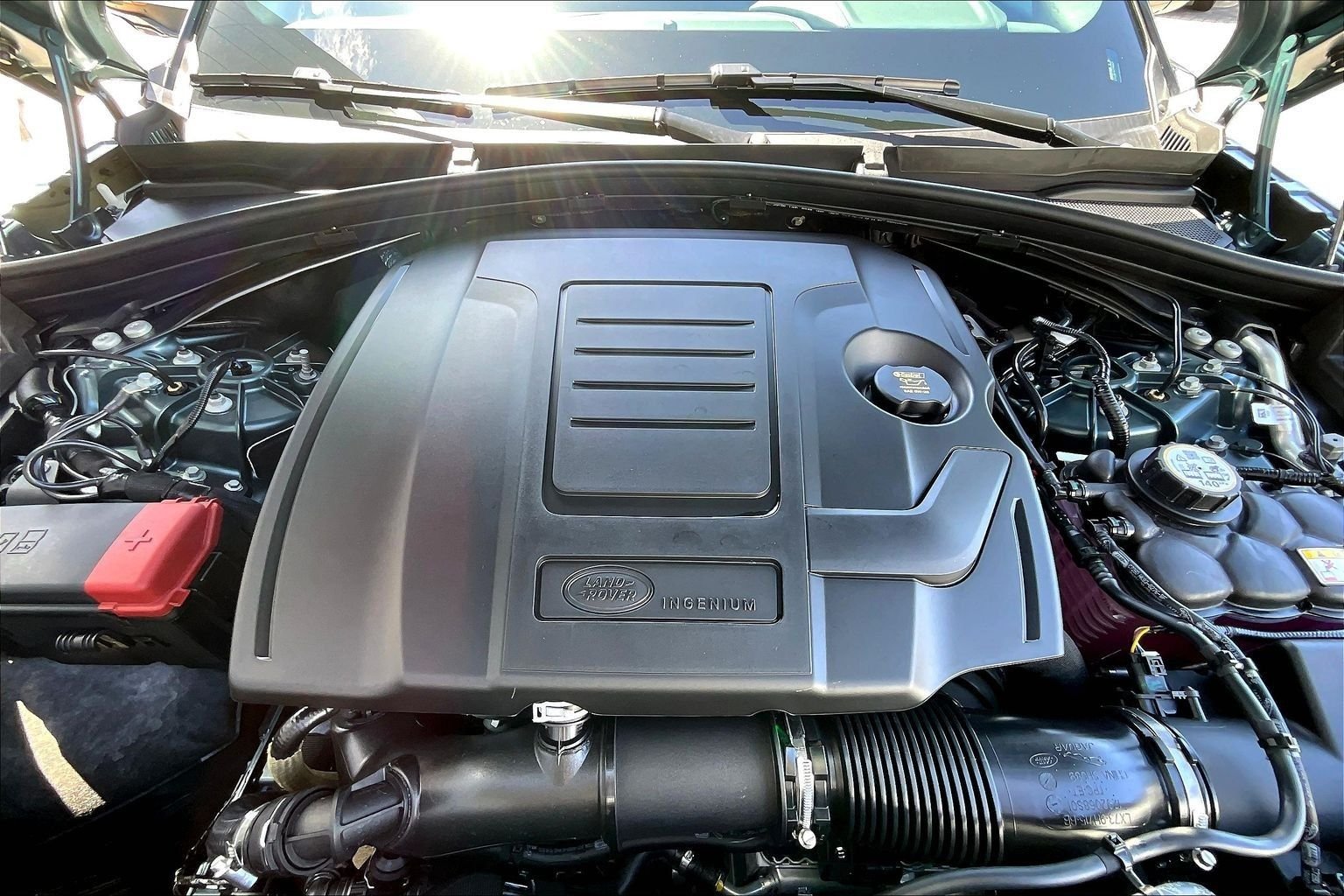 New 2026 Giola Green Land Rover Dynamic SE image 11