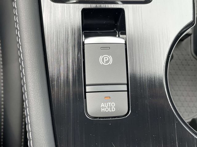 New 2026 Super Black Nissan Platinum image 32