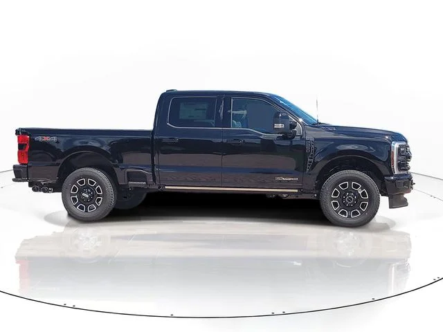 New 2026 Black Metallic Ford Platinum image 4