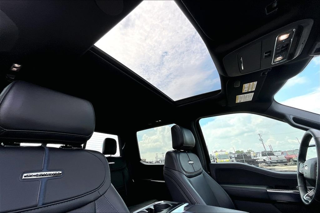 2025 Ford F-150 Platinum - Photo 23