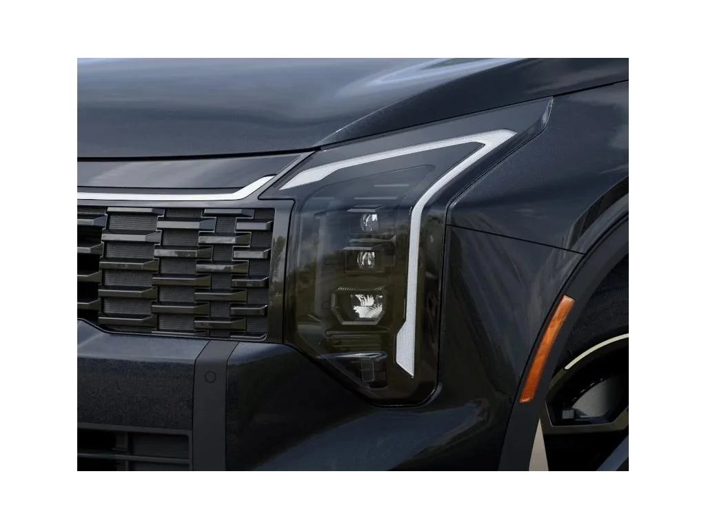 New 2026 Panthera Metal Kia EX image 10