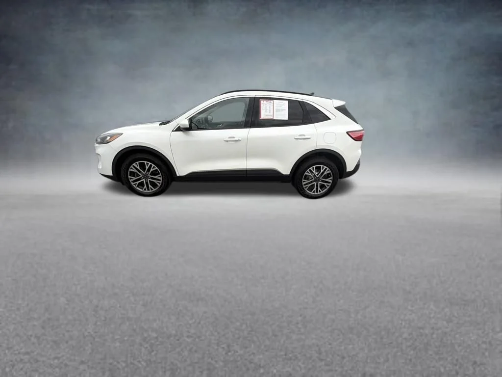 Used 2020 White Ford SEL image 2