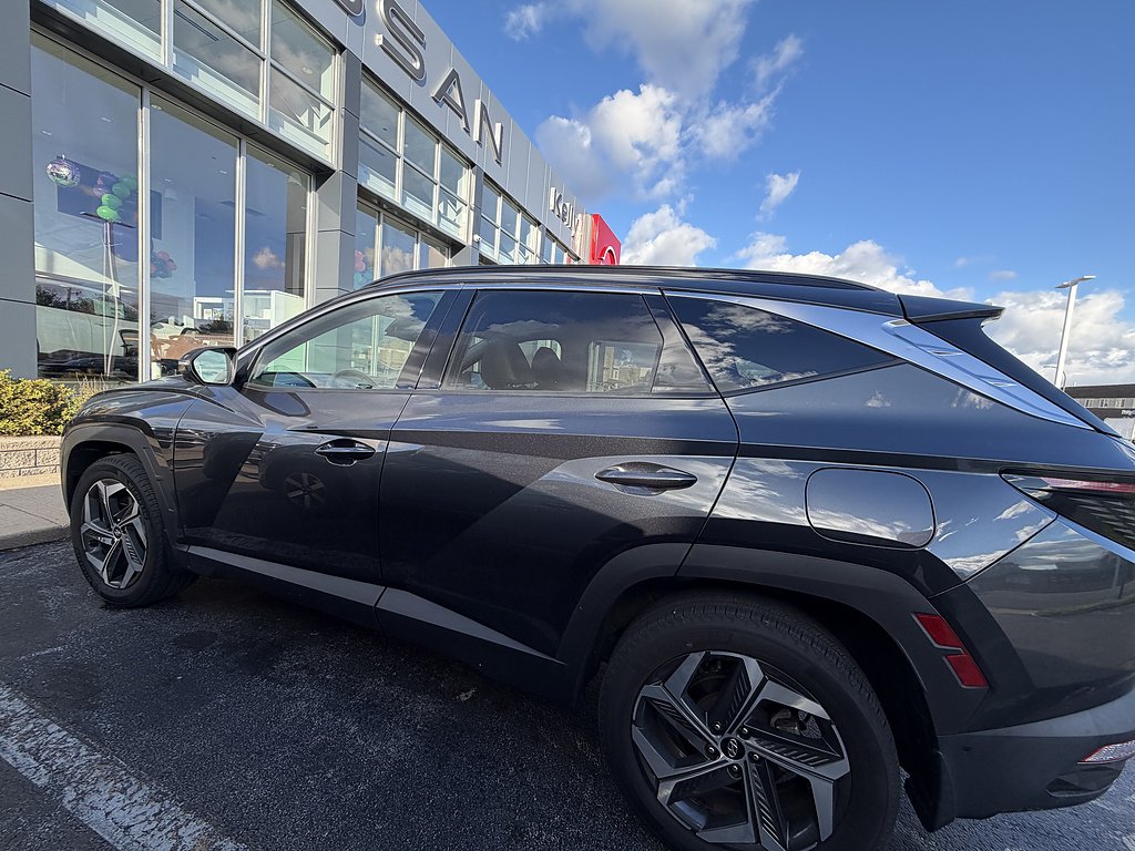 Used 2023 Portofino Gray Metallic Hyundai Limited image 40