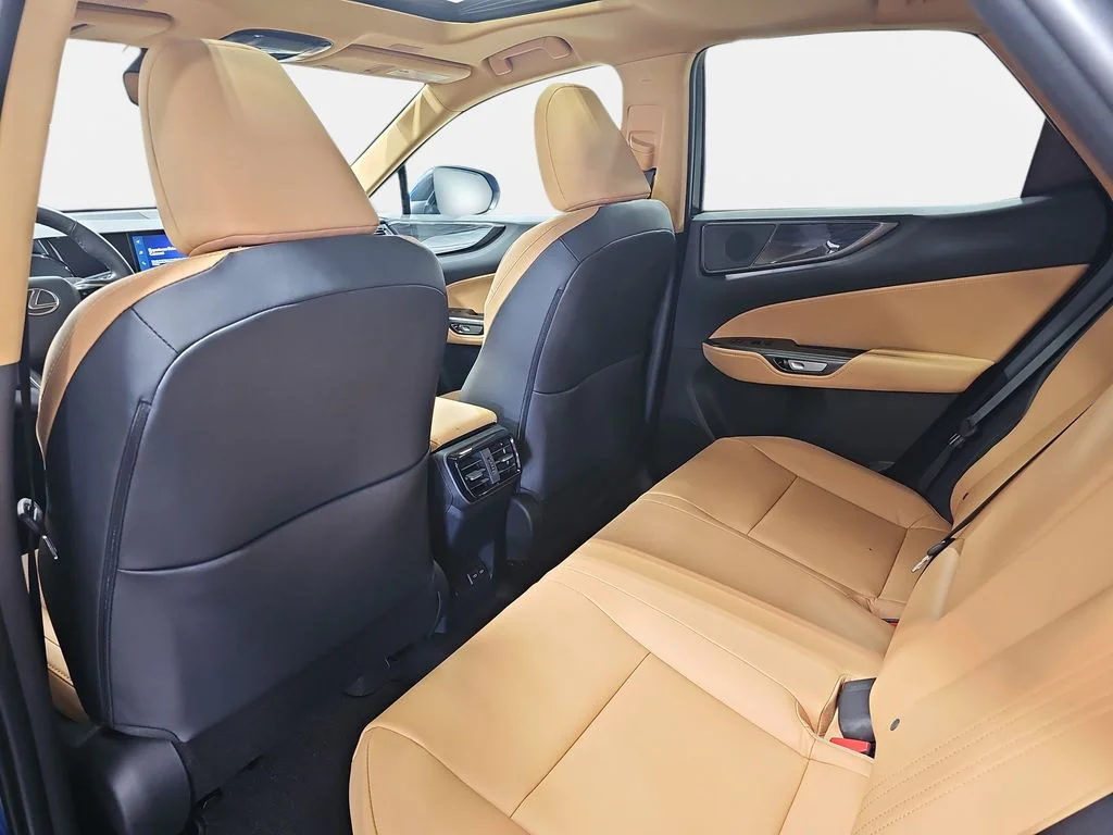 New 2026 Grecian Water Lexus PREMIUM image 11