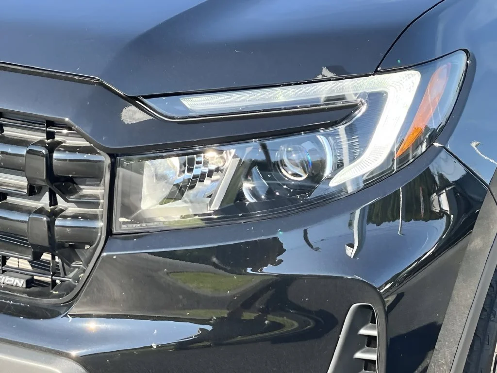 Used 2026 Black Honda Black Edition image 10