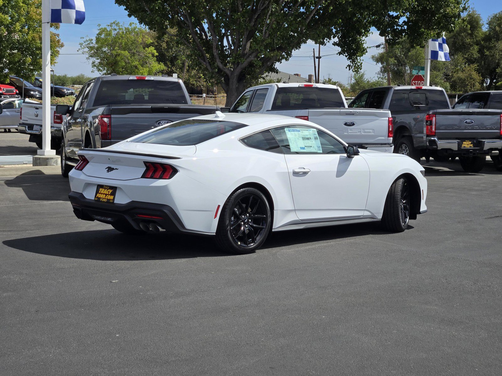 New 2026 Oxford White Ford EcoBoost® Premium Fastback image 4