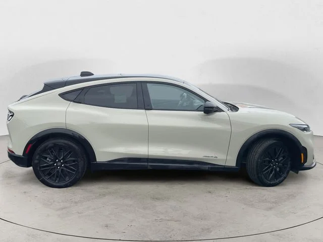 New 2026 Desert Sand Ford Premium image 6