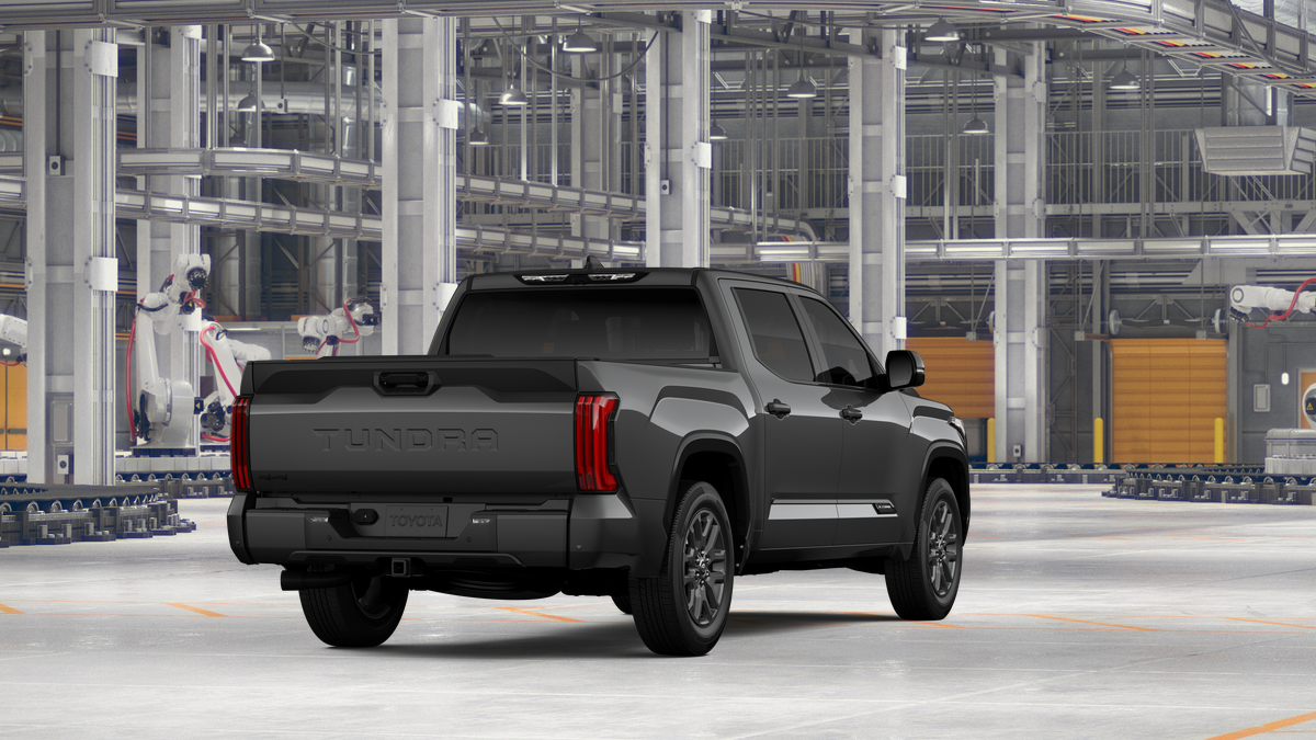 New 2026 Magnetic Gray Metallic Toyota Platinum image 9