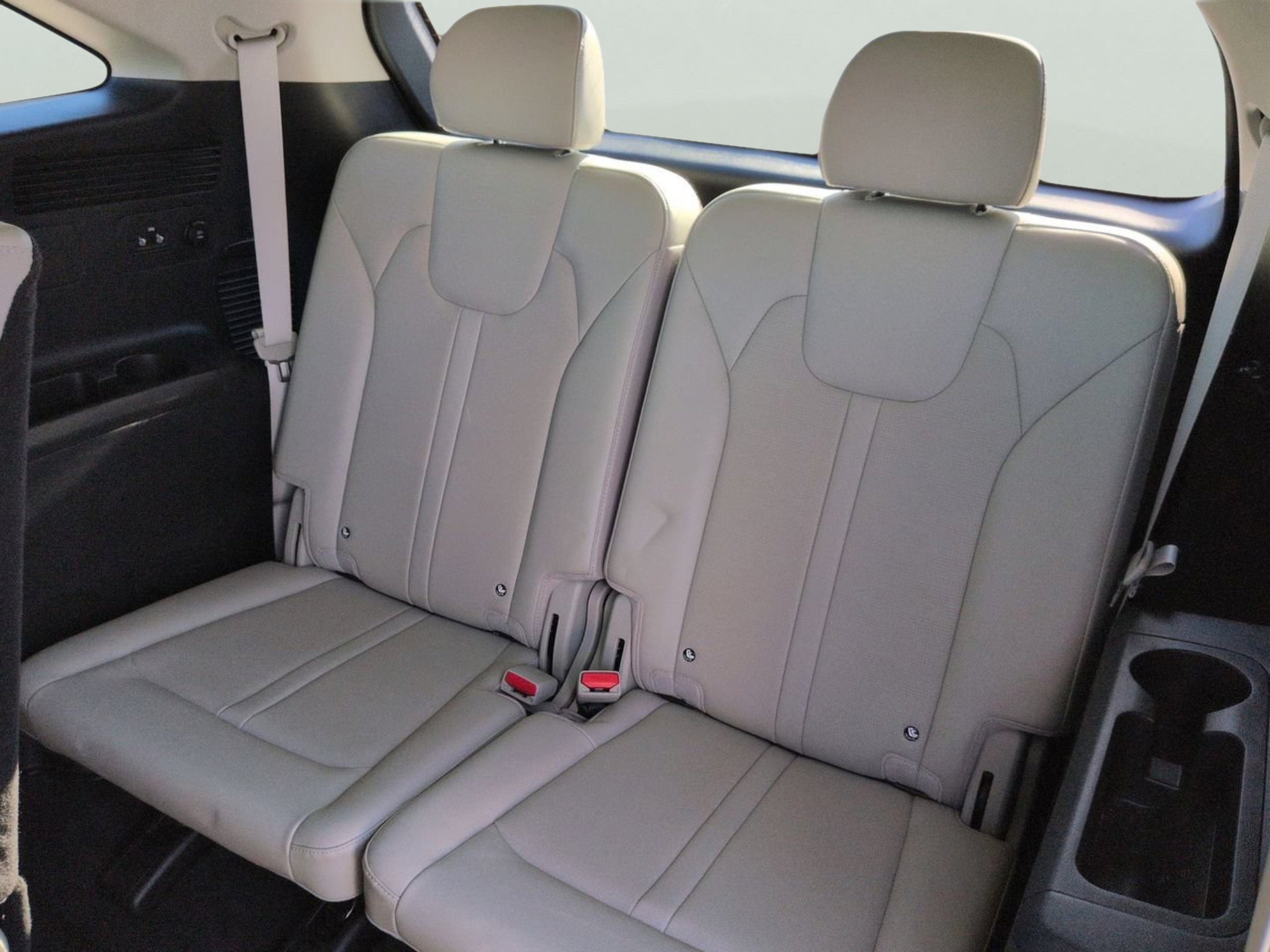 Used 2025 Panthera Metal Kia S image 11