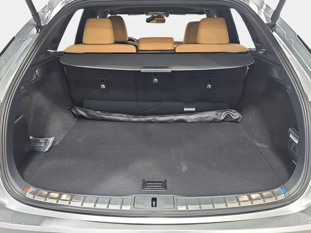 New 2026 Iridium Lexus PREMIUM PLUS image 12