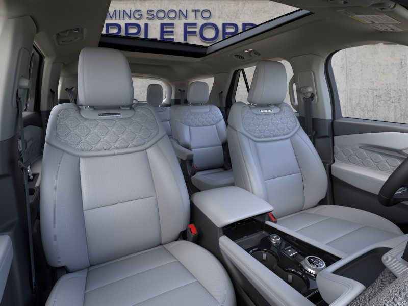 New 2026 Black Ford Platinum image 10