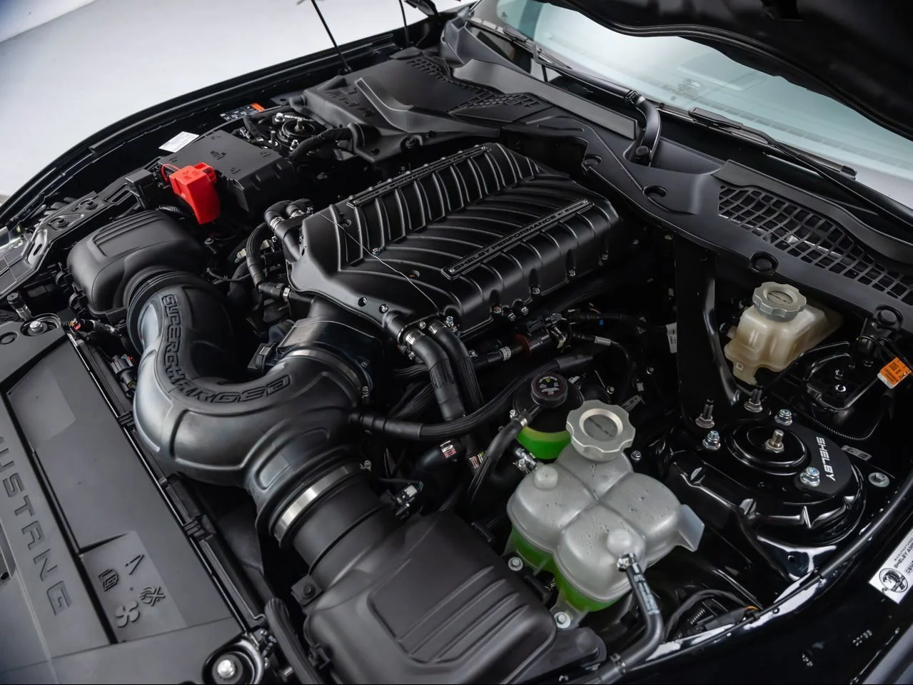 Used 2026 Black Shelby Super Snake image 10